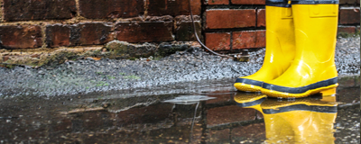 Basement Flood Inspection