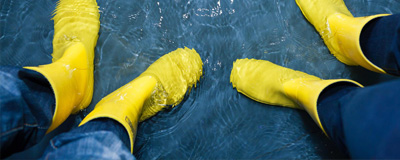 Certified professional inspecting a home